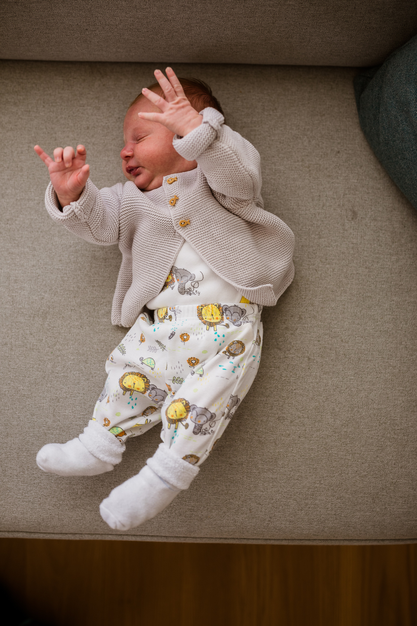 Export x3 5D4 6810 Familienfotoshooting 2019 Hefti